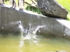 100_5896.jpg